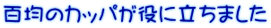百均のカッパが役に立ちました