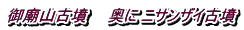 御廟山古墳　　奥に ニサンザイ古墳