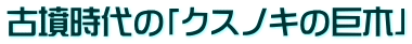 古墳時代の「クスノキの巨木」